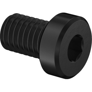 Super-Corrosion-Resistant A4 Low-Profile Socket Head Screw , M8 x 1.25 mm Thread Size, 12mm Long图4
